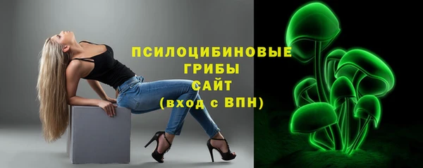 гидра Кинешма
