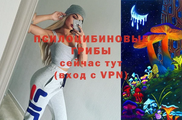 гидра Кинешма