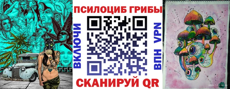 где продают наркотики  Каргат  Галлюциногенные грибы Psilocybe 