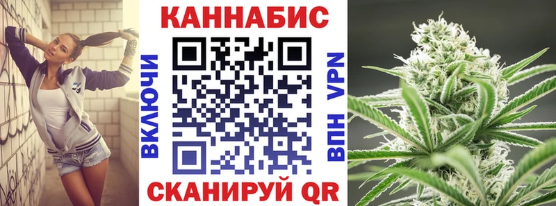 где найти   Каргат  Канабис Amnesia 